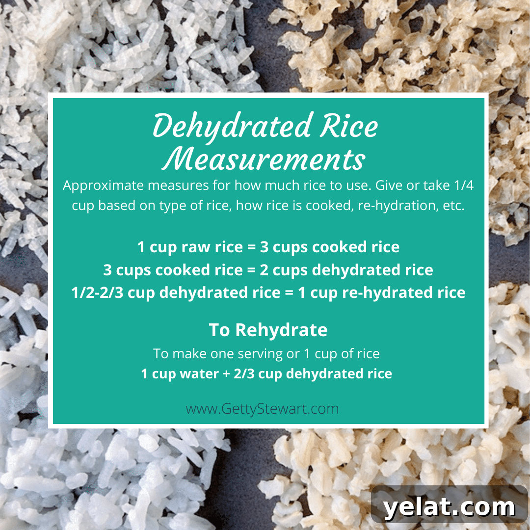 How to Dehydrate White or Brown Rice for Long-Term Storage 8 dehydrate rice measures
