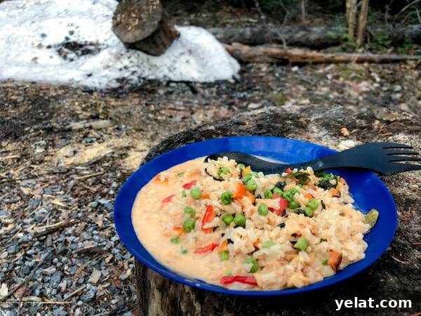 How to Dehydrate White or Brown Rice for Long-Term Storage 9 thai red curry with dehydrated rice