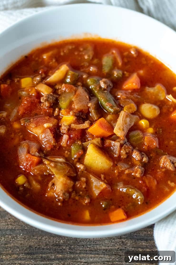 Hearty Vegetable Beef Soup Recipe with Savory Homemade Broth 2 Bowl of vegetable beef soup.