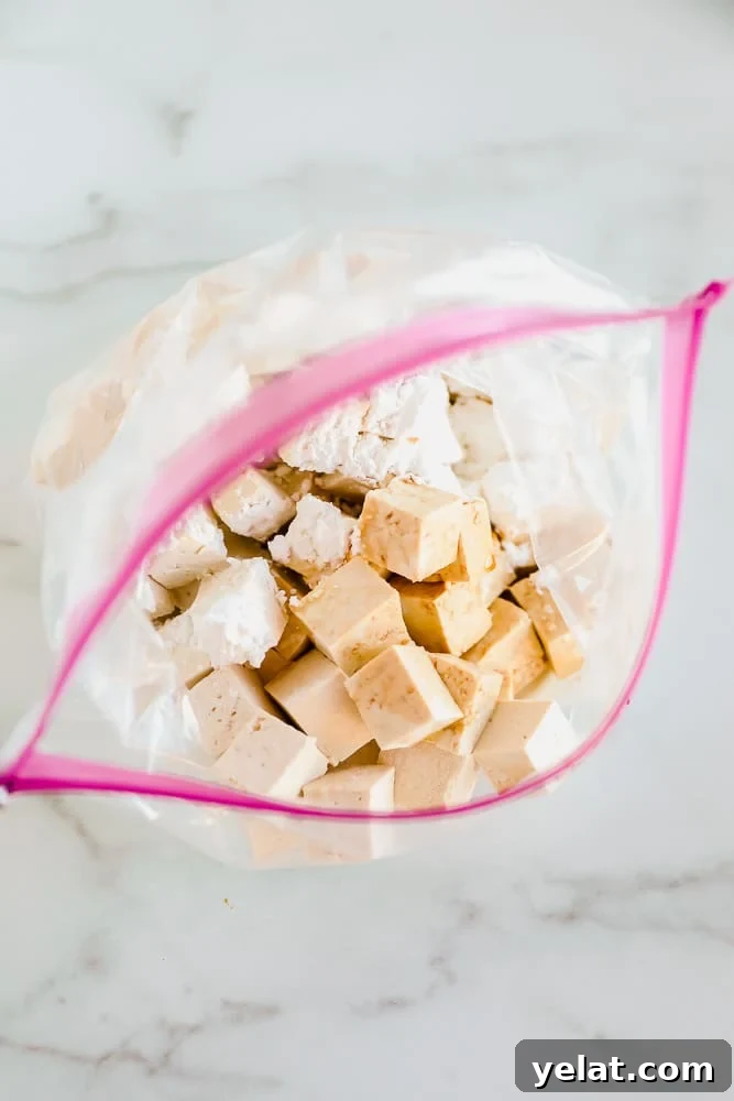 tofu cubes and cornstarch in a large ziplock bag.