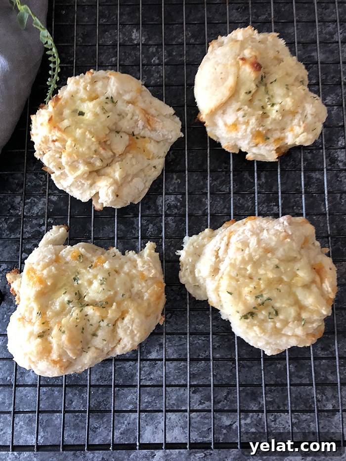 Garlic Cheddar Biscuits