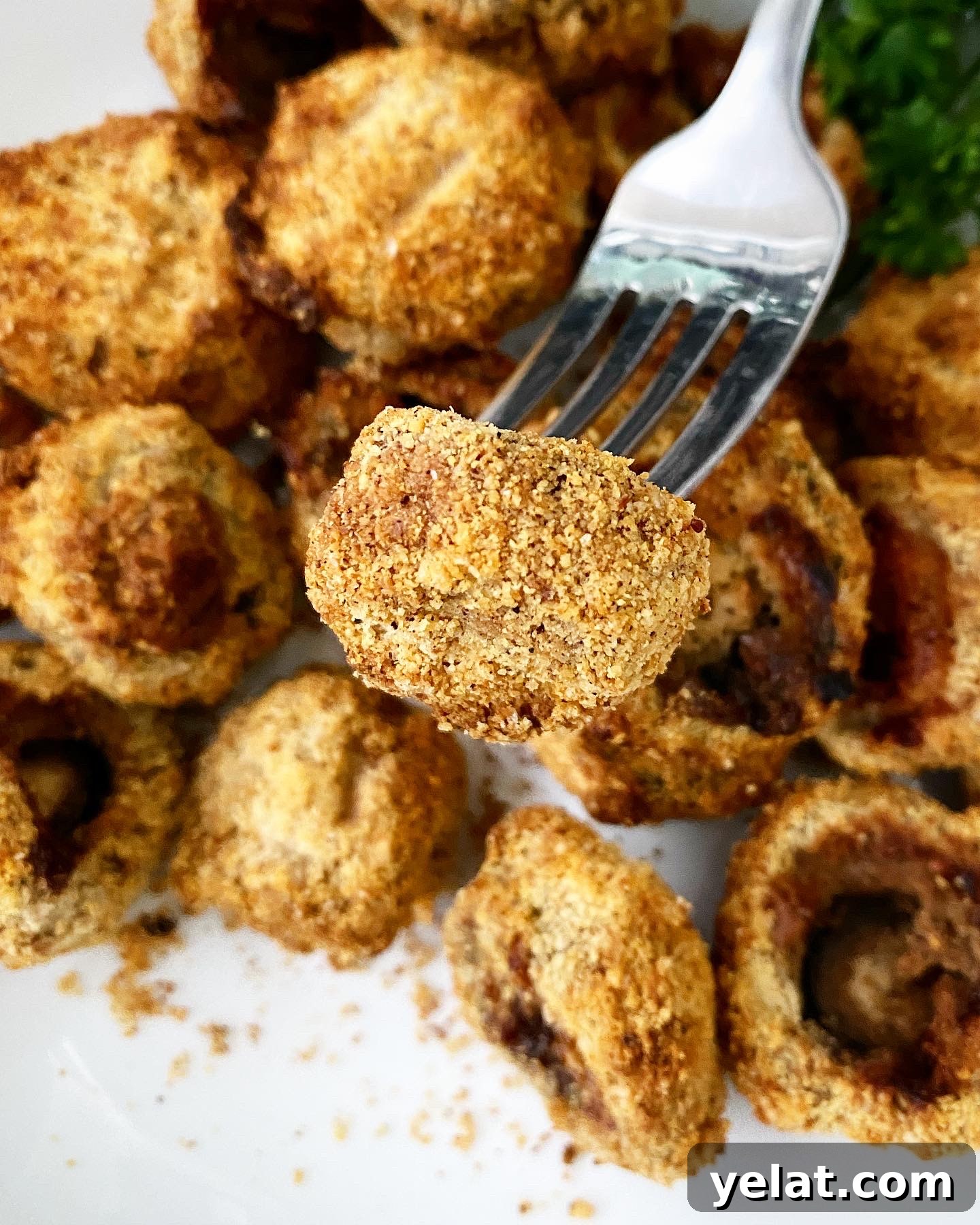 Crispy Keto Air-Fryer Fried Mushrooms: Low-Carb Snack Recipe 8 img 17391 7