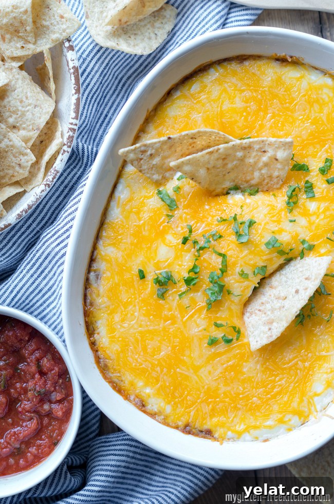 Cheesy Bean Dip (Gluten-Free) — Crowd-Pleasing Party Recipe 2 Gluten-free Cheesy Bean Dip