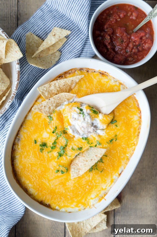 Cheesy Bean Dip (Gluten-Free) — Crowd-Pleasing Party Recipe 3 Cheesy Bean & Beef Dip Gluten-free recipe. Yummy appetizer or burrito filling!