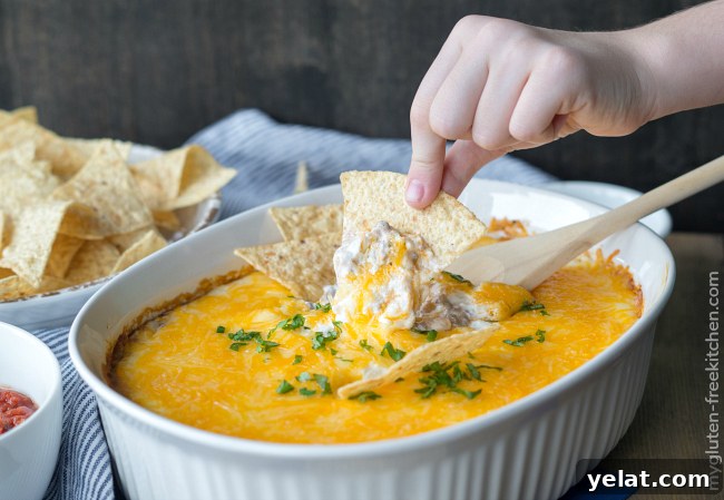 Cheesy Bean Dip (Gluten-Free) — Crowd-Pleasing Party Recipe 4 Gluten-free Cheesy Beef and Bean Dip