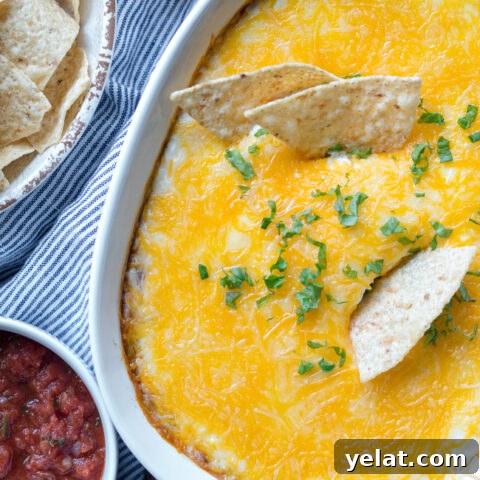 Gluten-free Cheesy Bean Dip Recipe. Yummy as appetizer or as a filling for burritos!