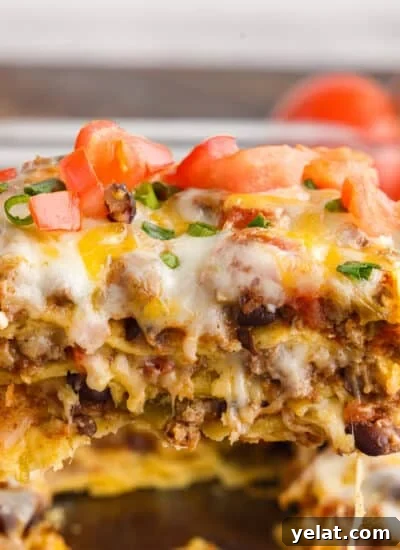 Authentic Mexican Red Rice Recipe: Fluffy, Flavorful Arroz Roja 10 Finished Mexican Lasagna garnished with tomatoes and green onions.