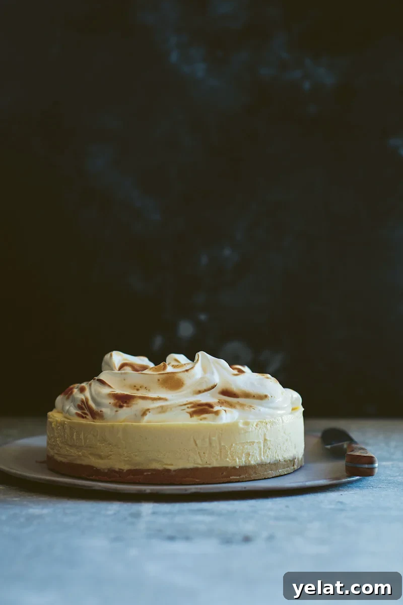 Lemon Meringue Ice Cream Pie