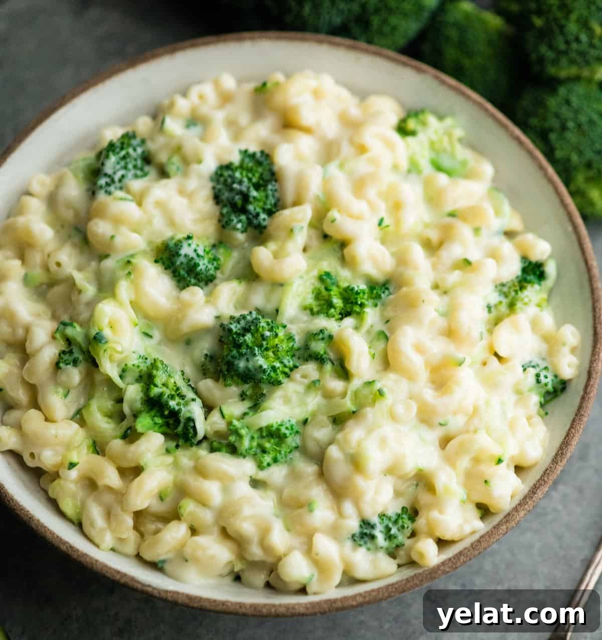overhead view of a bowl of vegetable mac and cheese