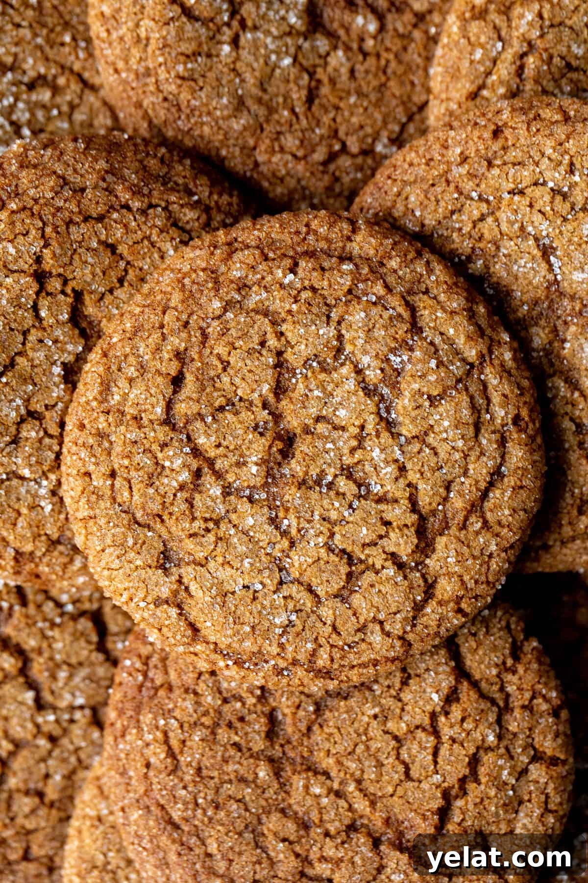 Crispy Gingersnaps: A Snappy Recipe for Perfect Cookies 2 Gingersnap cookies with crinkly tops and rolled in sugar, from above