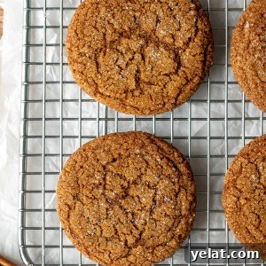 Crispy Gingersnaps: A Snappy Recipe for Perfect Cookies 6 Gingersnaps on wire cooling tray