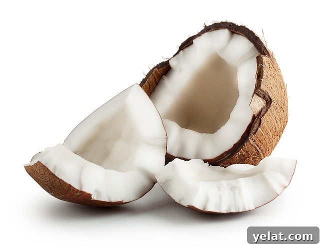 Jet-Puffed Coconut Marshmallow Bites Covered in Chocolate—My Pick 5 img 190501 4