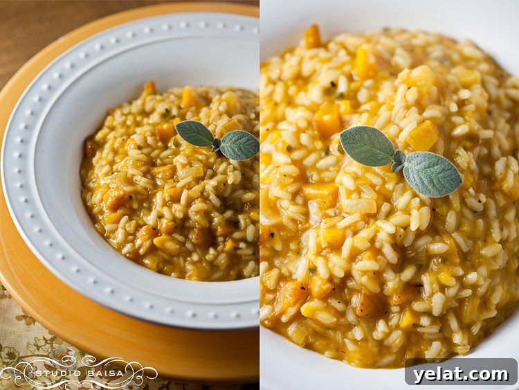 butternut-squash-risotto-recipe