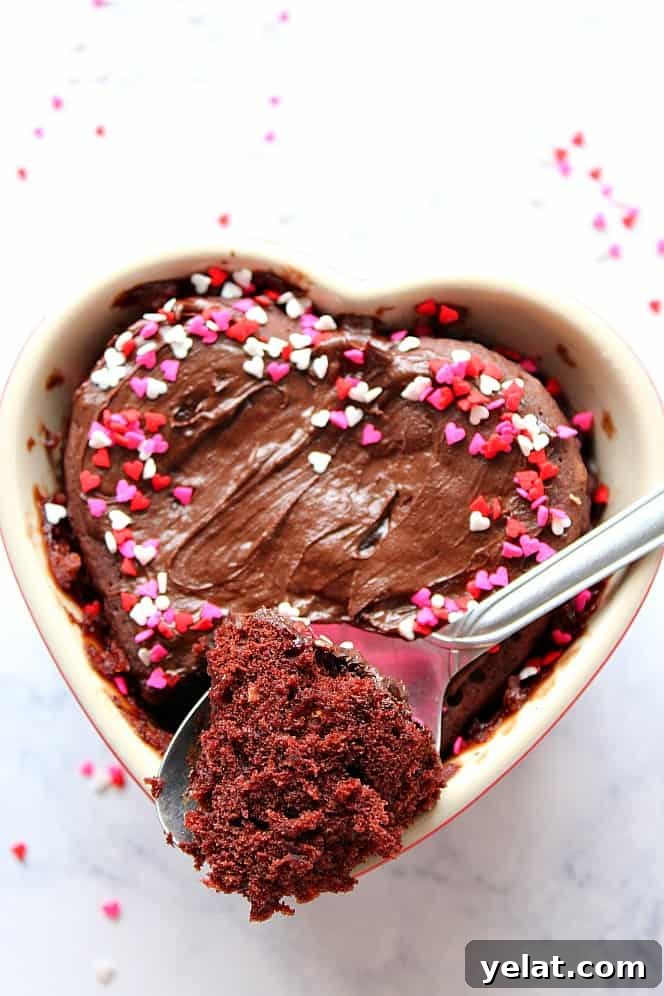 Chocolate Mug Cake for Two Recipe - fluffy and soft chocolate cake cooked in microwave! Perfect little treat that comes together in just under 5 minutes. perfect chocolate cake cooked in microwave