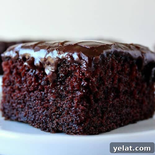 Square image of a piece of chocolate cake with shiny fudge frosting, set on a white dessert plate.