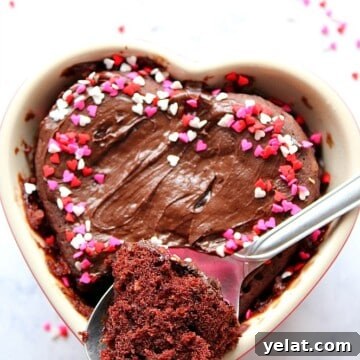Chocolate Mug Cake Recipe for Two — Quick Decadent Dessert 7 img 19890 9