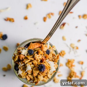 Blueberry Coconut Granola (Gluten-Free Recipe) 2 Gluten Free Blueberry Coconut Granola