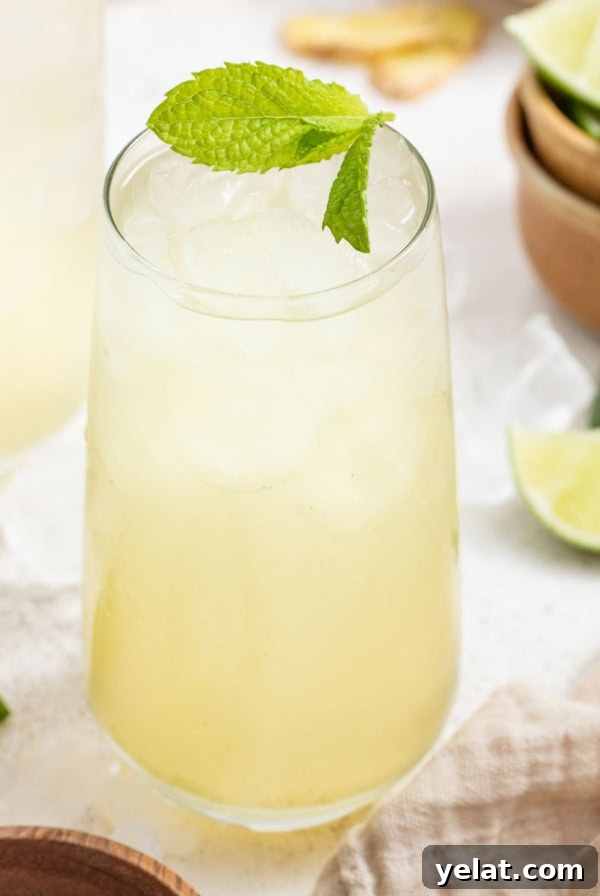Pomegranate Virgin Sangria Recipe — Refreshing Party Drink 13 A sparkling drink with coconut water and ginger, topped with mint leaves with cut limes on the side.