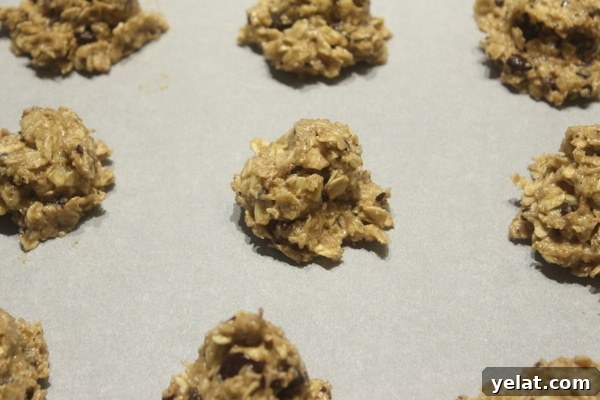 Gluten-Free Cookies My Husband Always Craves: Top Recipe 10 img 22174 10