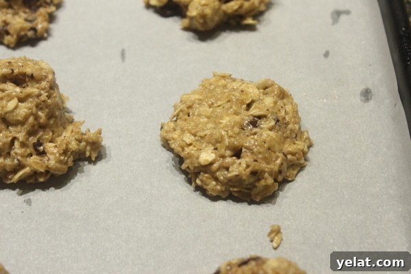 Gluten-Free Cookies My Husband Always Craves: Top Recipe 11 img 22174 11
