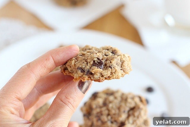 Gluten-Free Cookies My Husband Always Craves: Top Recipe 12 Gluten-free chocolate chip cookies