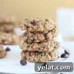 Gluten-Free Cookies My Husband Always Craves: Top Recipe 13 Vegan chocolate chip cookies with buckwheat flour