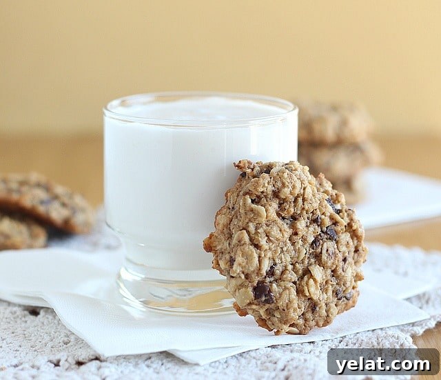 Gluten-Free Cookies My Husband Always Craves: Top Recipe 3 Lower sugar chocolate chip cookies made with oats