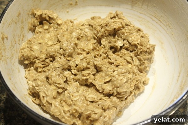 Gluten-Free Cookies My Husband Always Craves: Top Recipe 8 img 22174 8