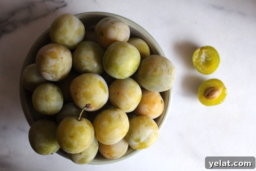 40+ Plum Canning Recipes to Preserve Fresh Fruit All Year 12 Greengage Plums