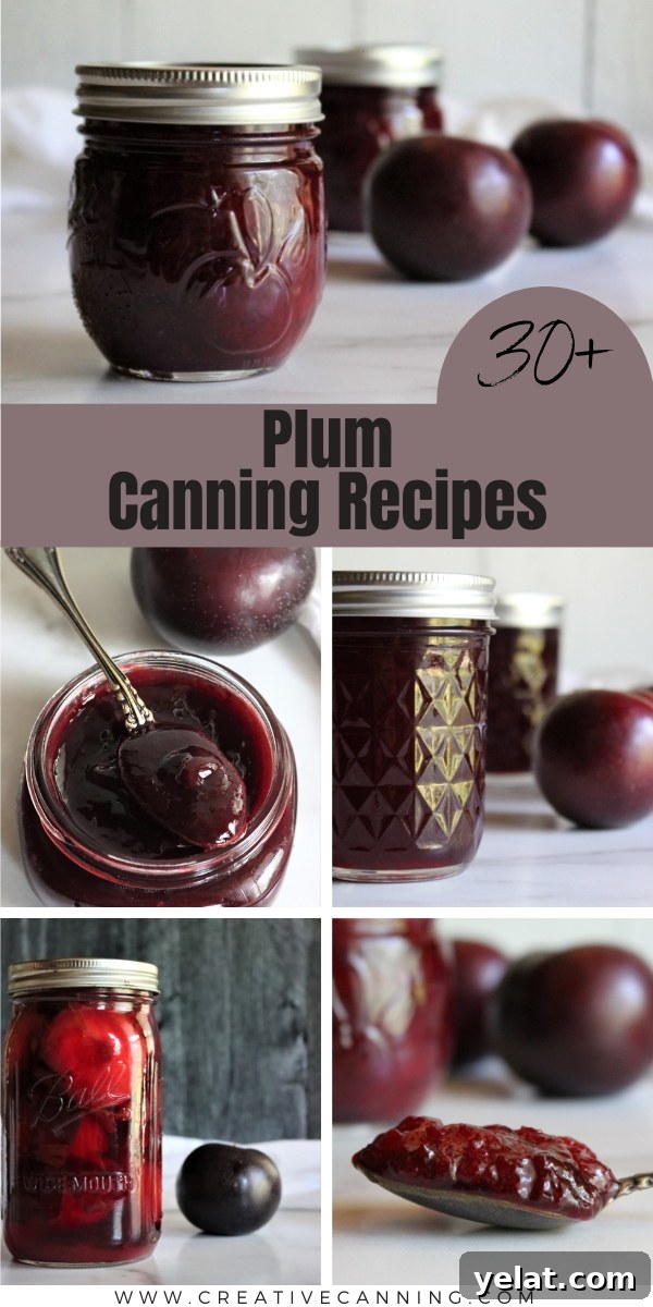 40+ Plum Canning Recipes to Preserve Fresh Fruit All Year 13 Plum Canning Recipes