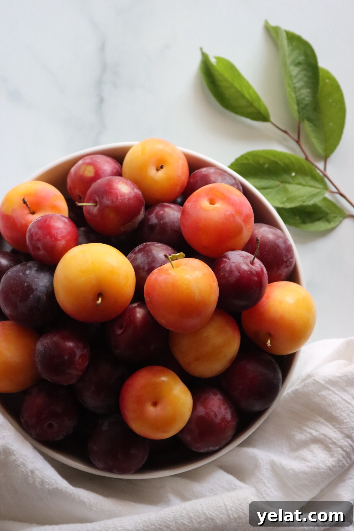 40+ Plum Canning Recipes to Preserve Fresh Fruit All Year 5 Plums