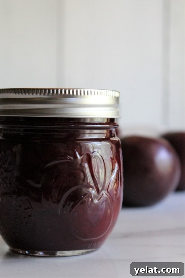 40+ Plum Canning Recipes to Preserve Fresh Fruit All Year 6 Plum jam