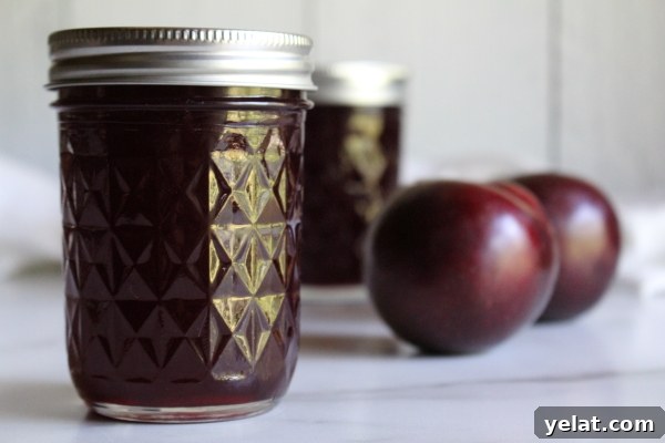 40+ Plum Canning Recipes to Preserve Fresh Fruit All Year 7 Plum jelly