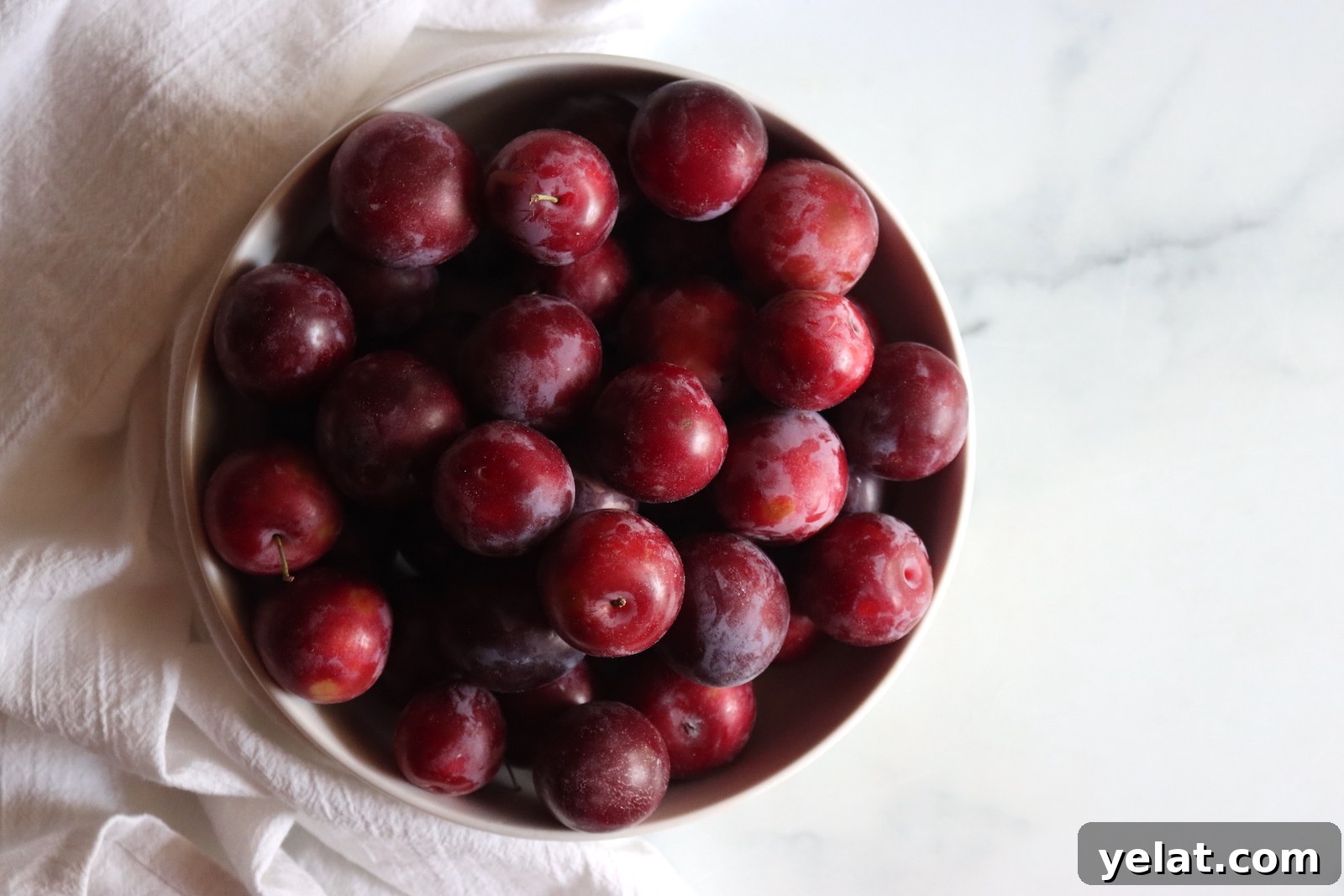 40+ Plum Canning Recipes to Preserve Fresh Fruit All Year 8 Plums