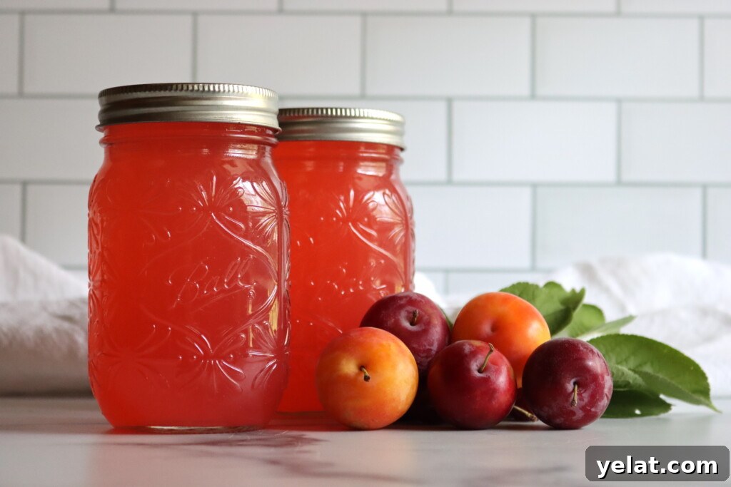 40+ Plum Canning Recipes to Preserve Fresh Fruit All Year 10 Plum Lemonade Concentrate