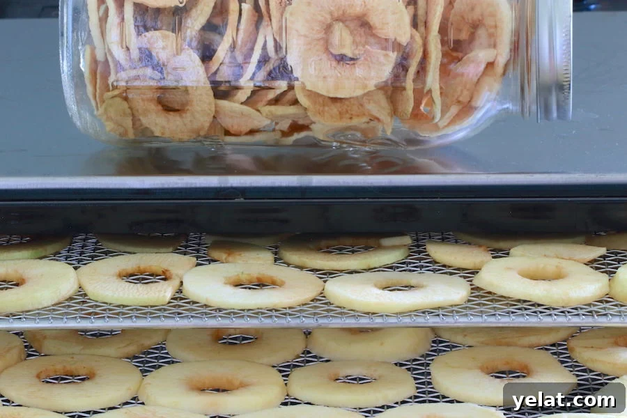 How to Dehydrate Apples at Home: Simple Step-by-Step Guide 2 img 22471 1