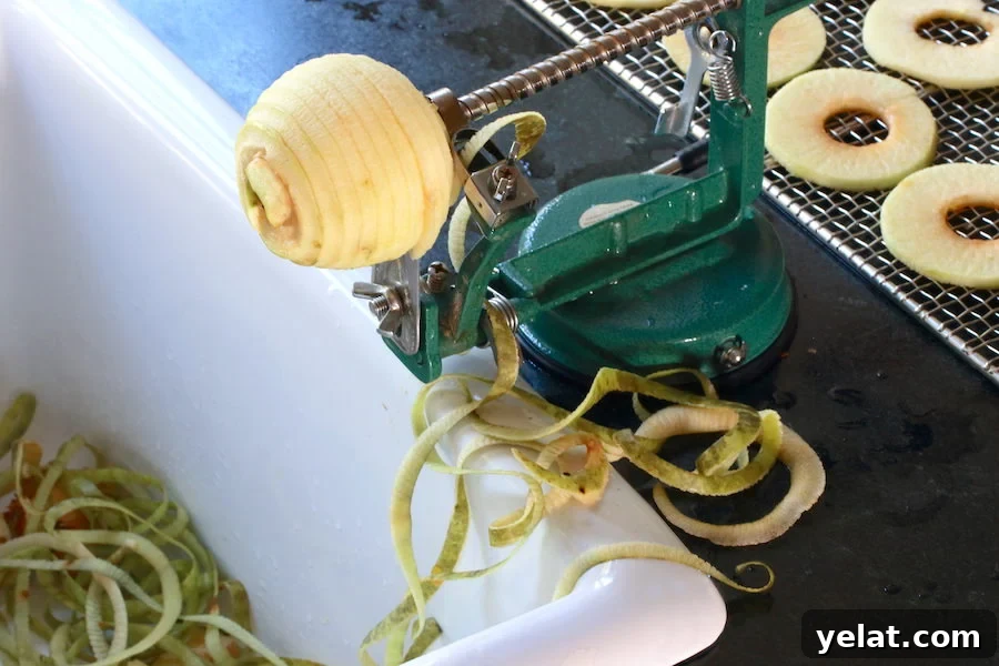 How to Dehydrate Apples at Home: Simple Step-by-Step Guide 4 img 22471 3