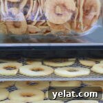 How to Dehydrate Apples at Home: Simple Step-by-Step Guide 5 A half gallon jar of dried apple slices on top of an Excalibur dehydrator. Two trays of apple rings on arranged on shelves and highlighted