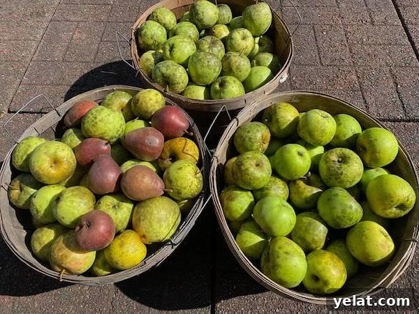 How to Dehydrate Apples at Home: Simple Step-by-Step Guide 6 Three half bushels of apples