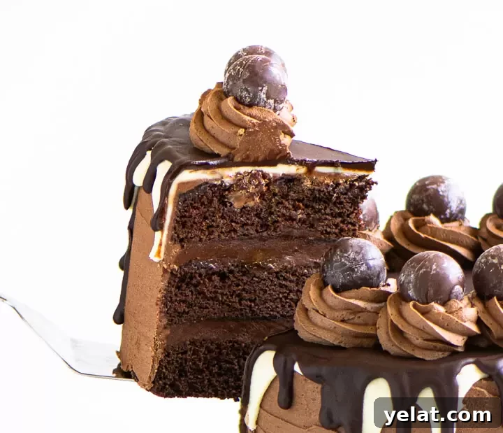 Decadent Chocolate Cake Recipe That Melts in Your Mouth 2 cake server lifting a slice of death by chocolate cake into the air