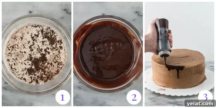 Decadent Chocolate Cake Recipe That Melts in Your Mouth 6 how to make a drip cake