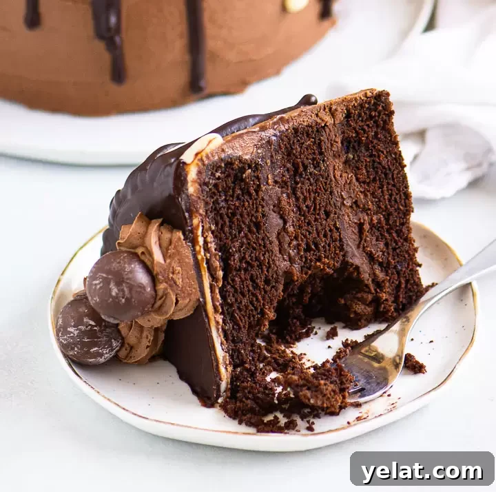 Decadent Chocolate Cake Recipe That Melts in Your Mouth 7 slice of chocolate cake on a plate with a fork taking a bite out of it