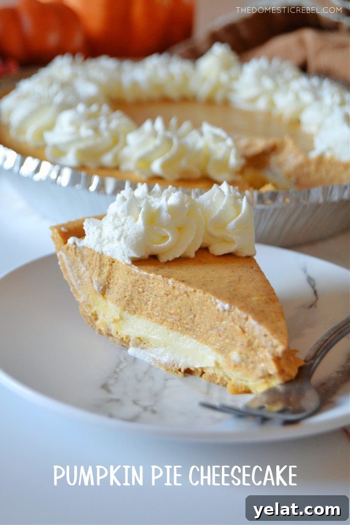 Quick Last-Minute Thanksgiving Desserts to Impress Guests 4 a single slice of pumpkin pie cheesecake on a white dessert plate with the entire pumpkin pie cheesecake in the background