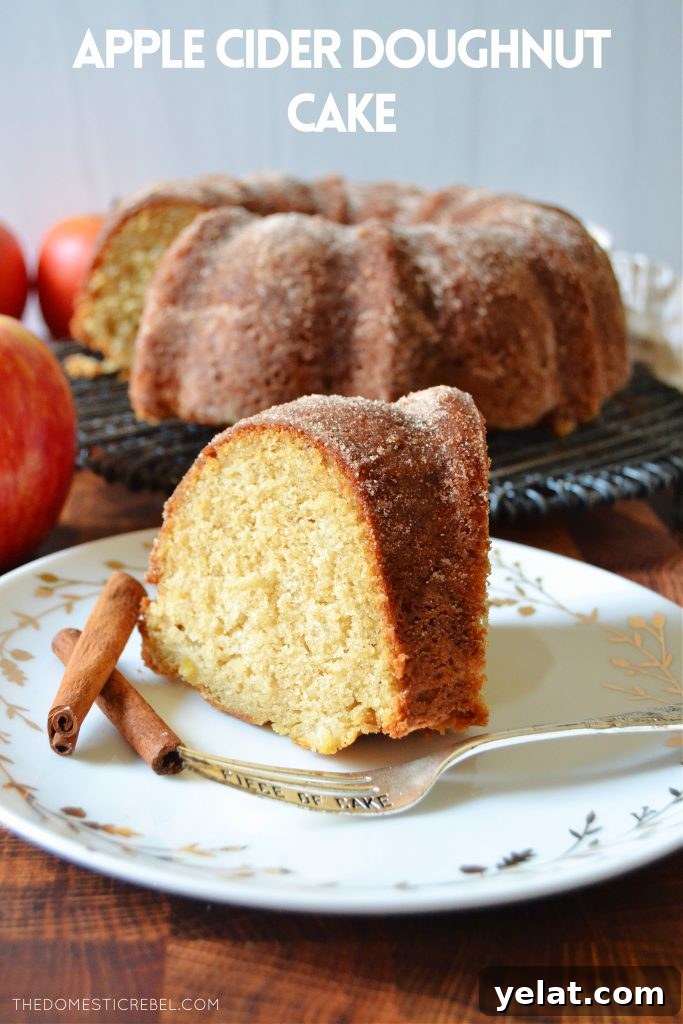 Quick Last-Minute Thanksgiving Desserts to Impress Guests 8 a slice of apple cider donut cake on a white plate with cinnamon sticks and a fork