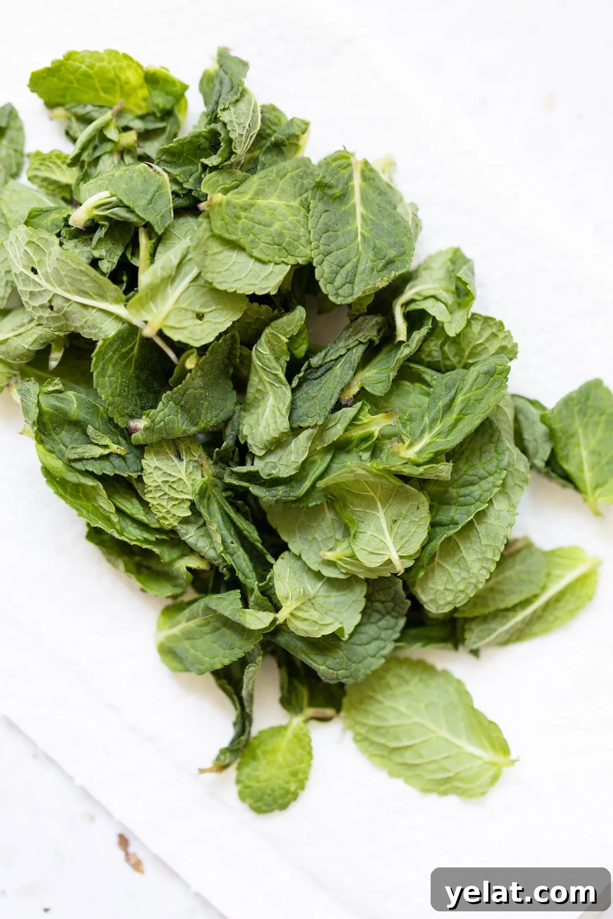 Creamy Yogurt Mint Sauce Recipe for Dipping and Marinades 3 Mint leaves