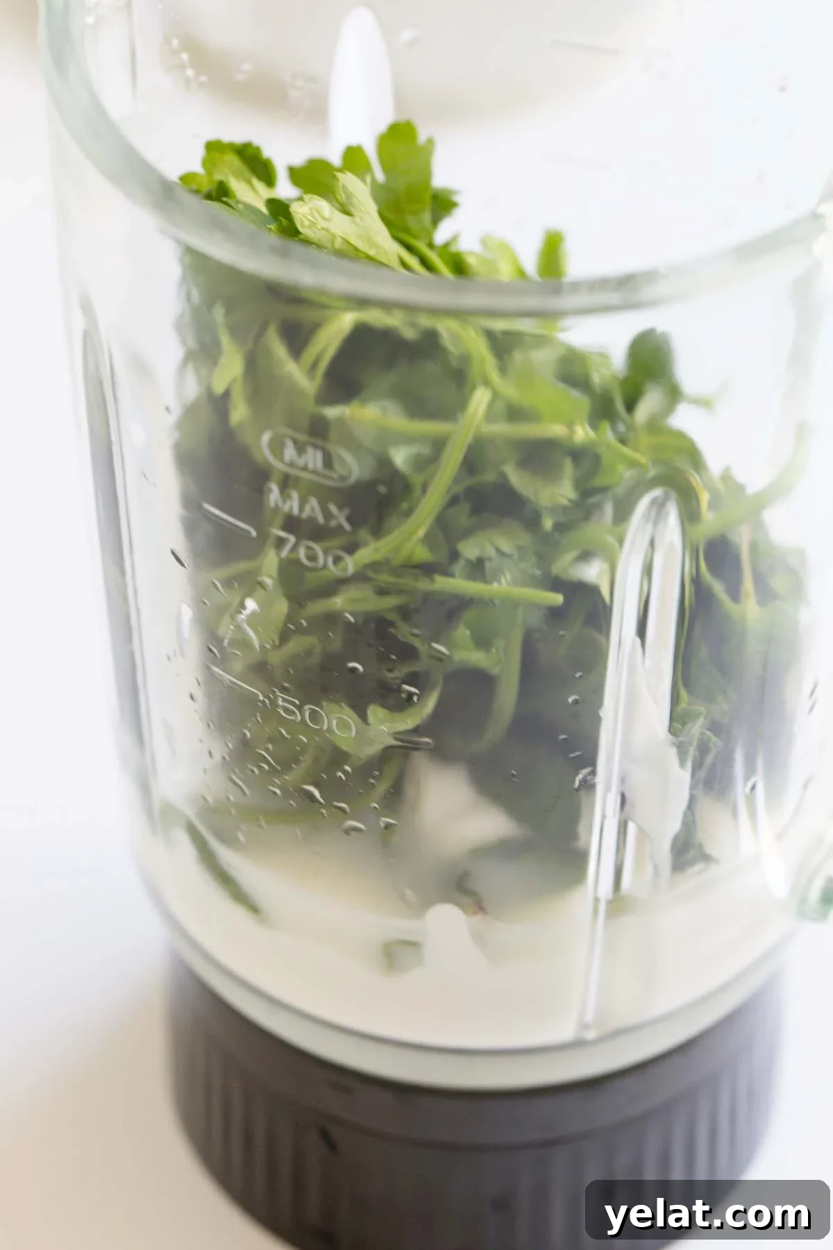 Creamy Yogurt Mint Sauce Recipe for Dipping and Marinades 4 Ingredients in the blender