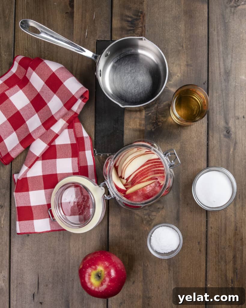 Quick Pickled Apples Recipe: Tangy Snack in 20 Minutes 5 img 2290 4