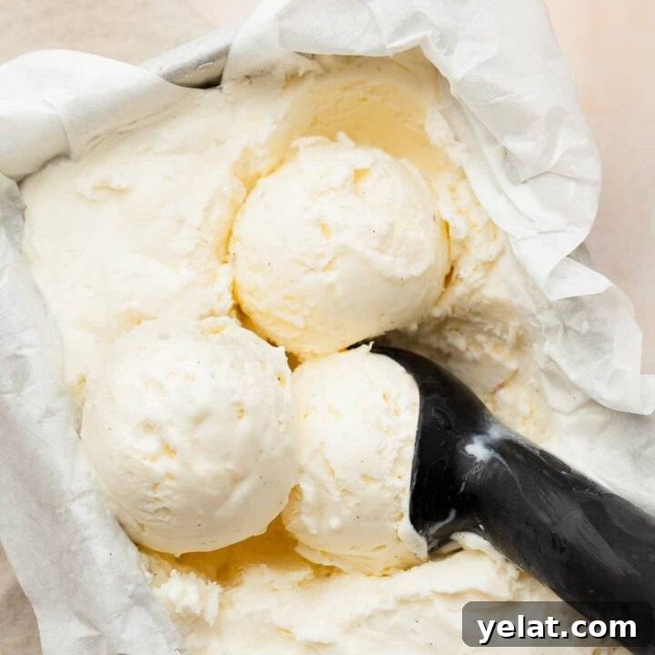 no churn vanilla ice cream in a loaf pan with an ice cream scooper