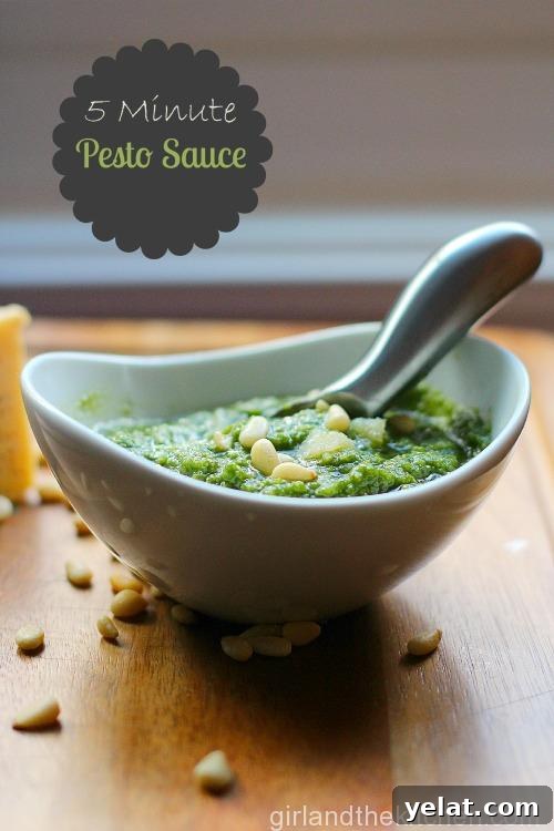 5 Minute Basil Pesto - Girl and the Kitchen