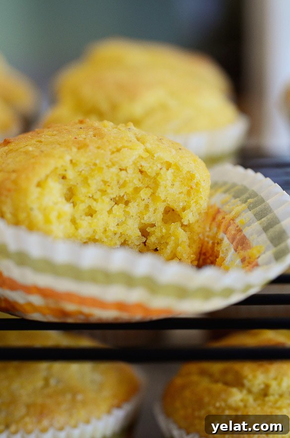 This Sweet Corn Bread Muffins recipe is a copycat of Famous Dave's corn bread muffins that we all love so much.